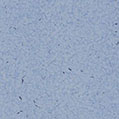 токопроводящее и антистатическое ПВХ покрытие LINO FATRA ELEKTROSTATIK Х9004